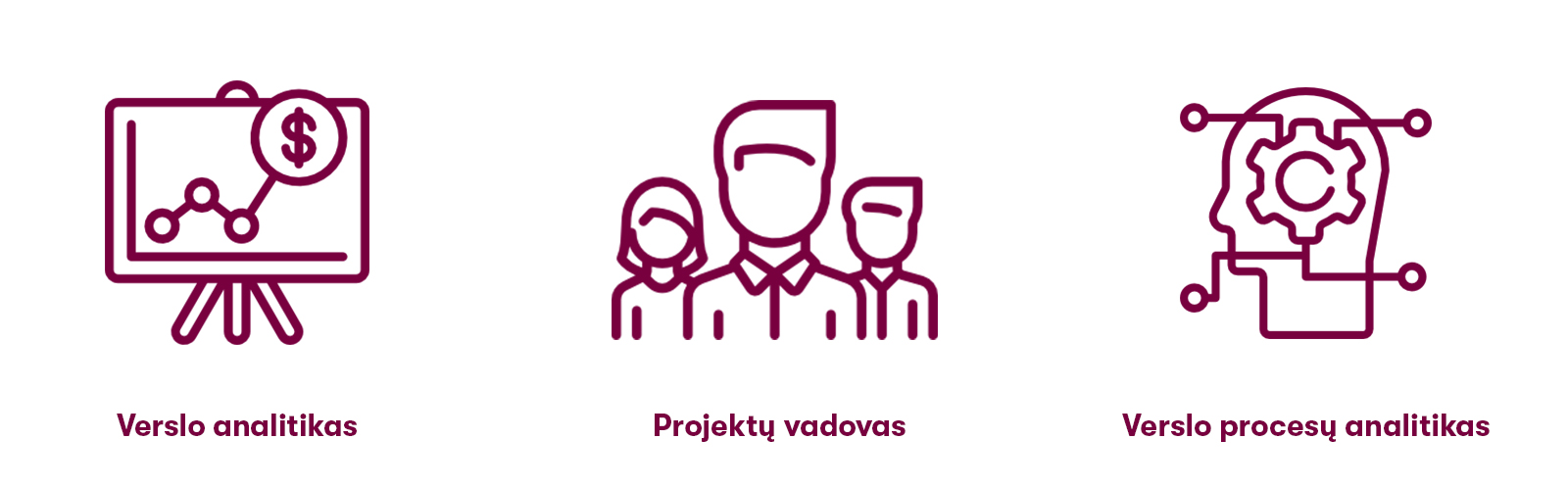 verslo procesu valdymas