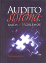 Audito-sitema-raida-problemos