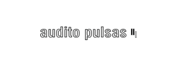 audito pulsas logo
