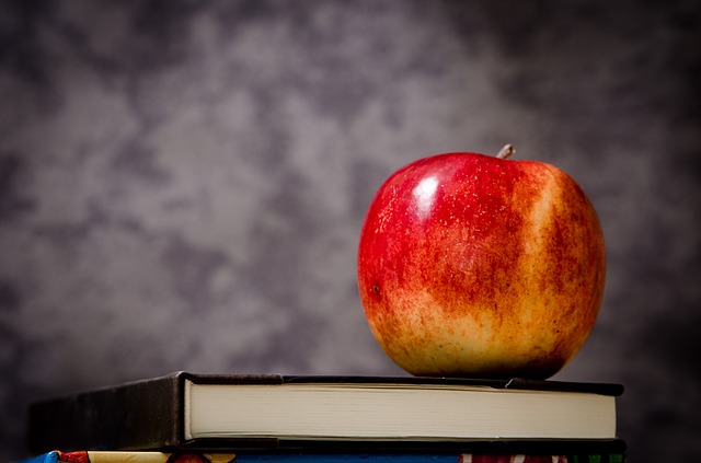 apple 256262 640