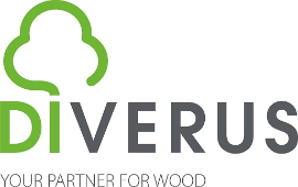 DIVERUS Logo