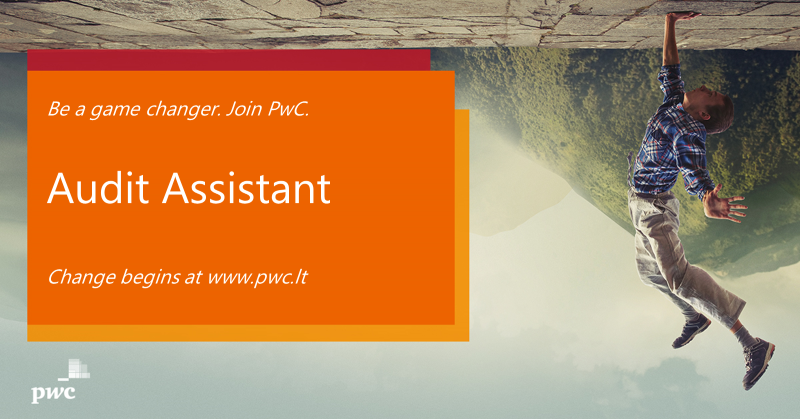 Audit Assistant Main